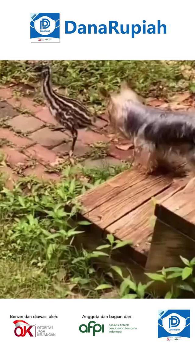 Bersertifikat resmi, semua orang bisa meminjam dengan percaya diri