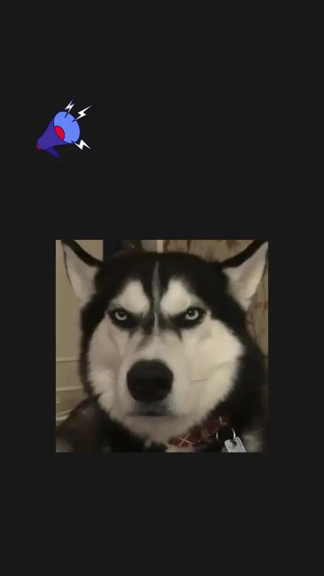 趕快加入【小小仙尊】的行列，和我們一起踏上修仙之路，成就仙人夢想！