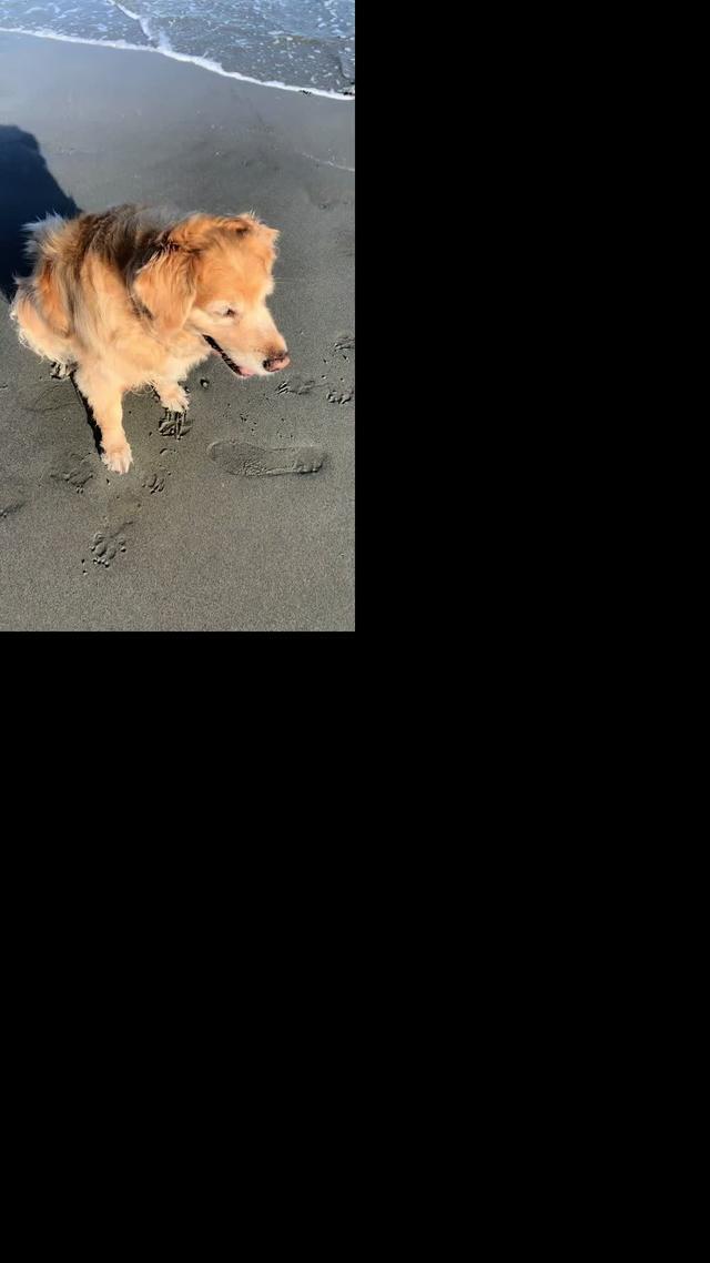 Petit prix. Mais souvenir XXL.