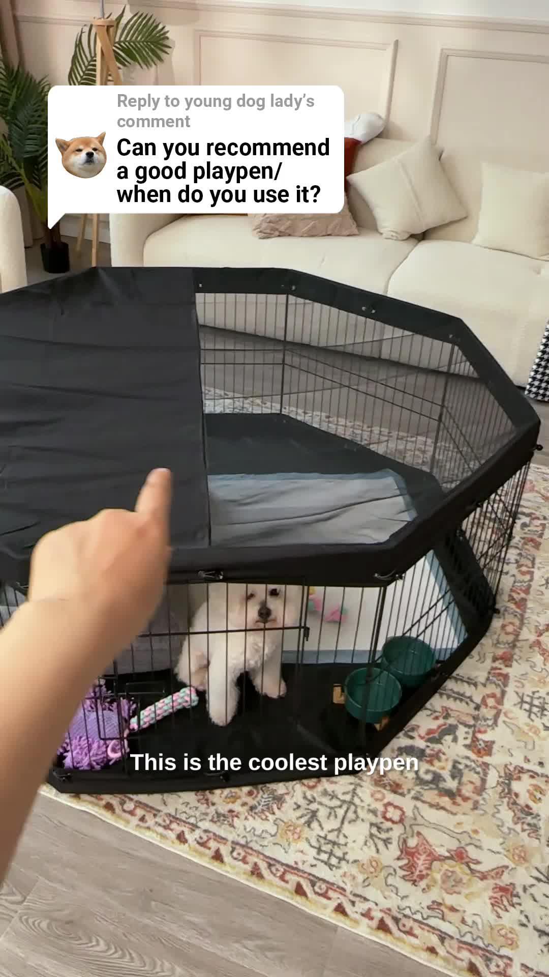 🌟 Pet lovers, behold!💖 Snag the pet essential where love meets innovation on Temu. 🐥🛍️ #BackyardBliss #TemuLove#TemuPets#TemuPetsFinds