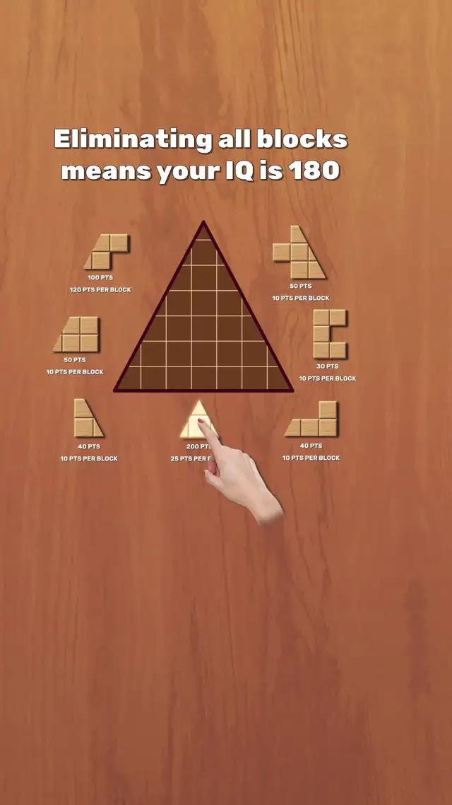 Challenge your IQ level with this wood block puzzle!