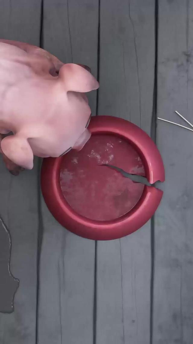 Start your adventure now!