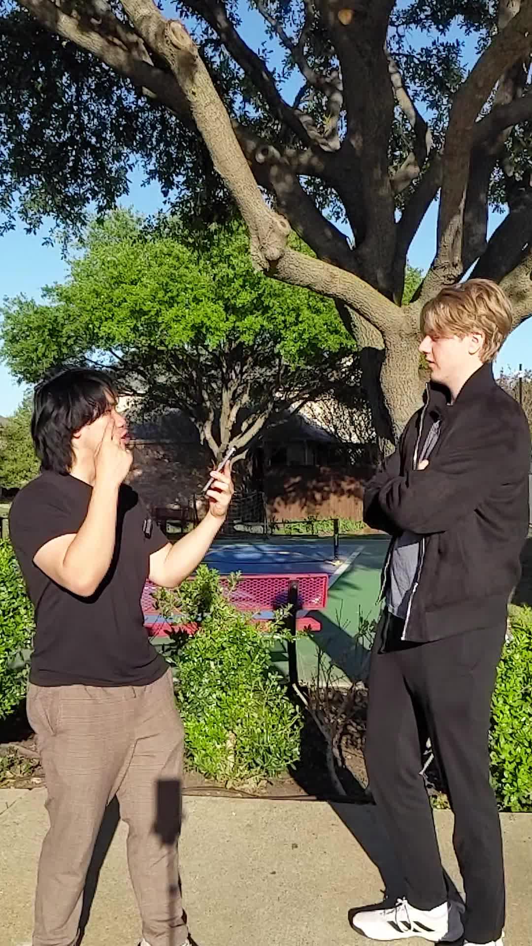 Pokémon, Outdated! Palworld, Content-lacking! Primon Legion is here to rock your brain!