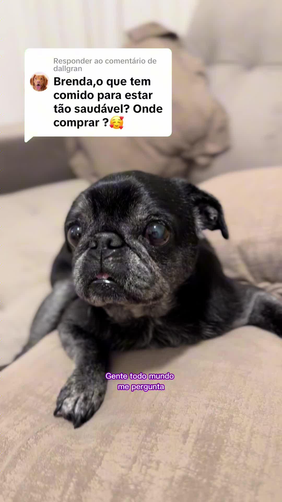 As Rações True são as Melhores para o Seu Pet. Alimente com amor, alimente com True!