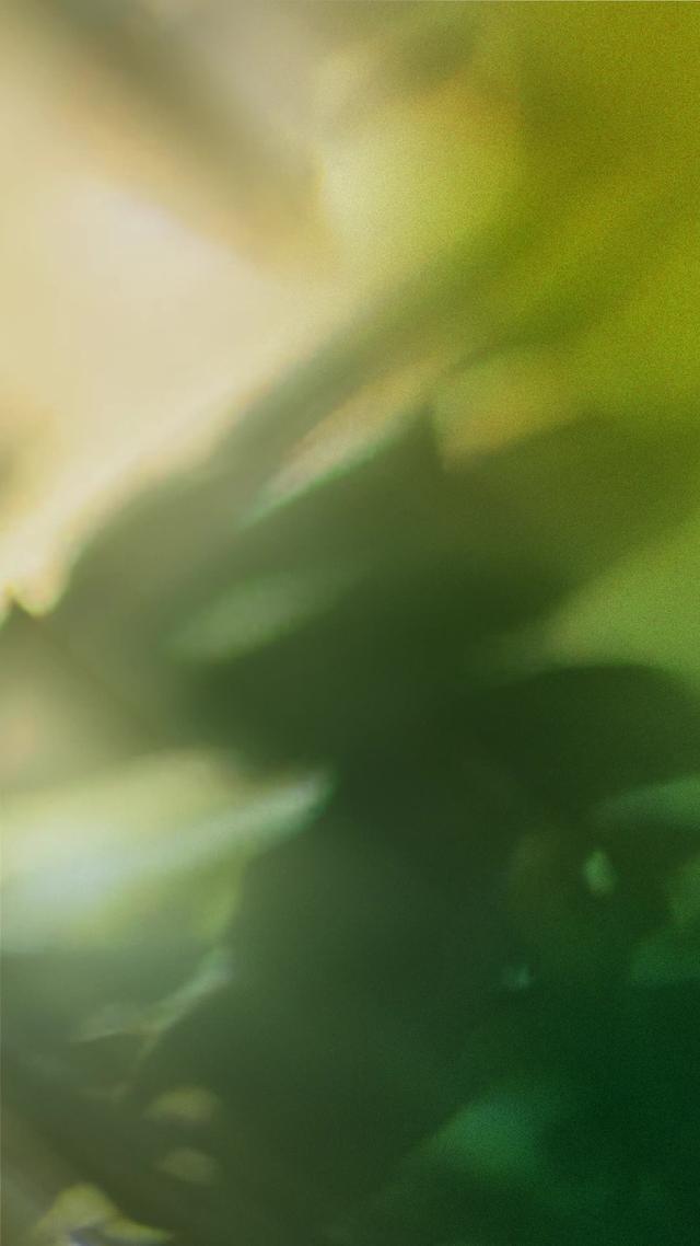 Crafted for the curious. Crafted for innovators. Crafted for you. New Oleato™ drinks at Starbucks.