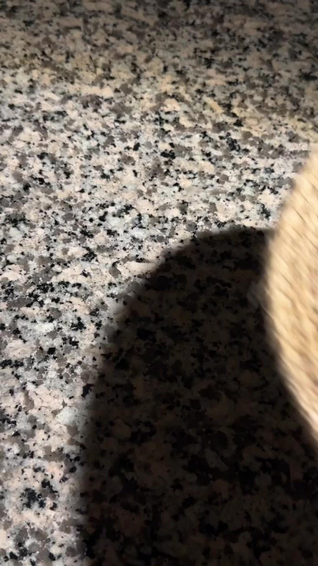 الجامد يجيك🤩💙 اطلب العرض اللي يناسبك👌🏼 #مياه_تانيا #احتفل_بالحياة