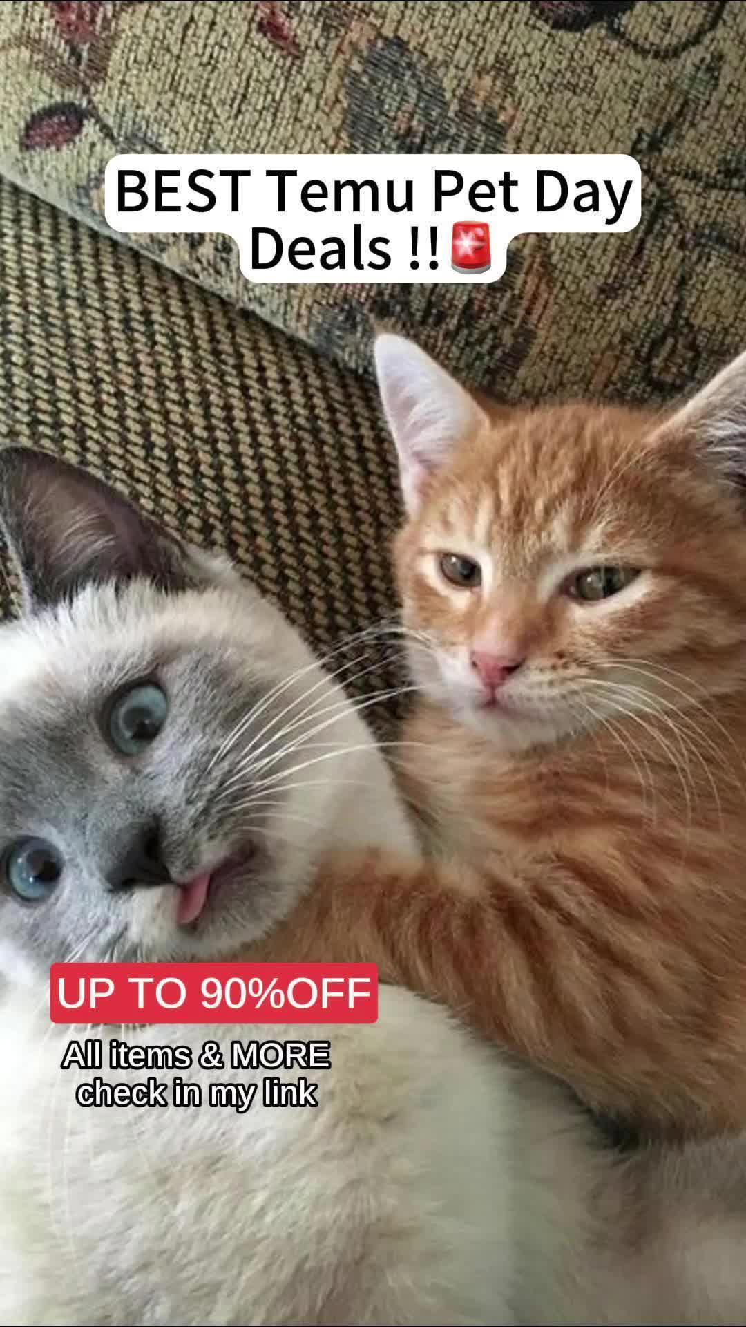 💰 I REALLY save big on Temu♥!! 💰 Don't miss out on amazing deals! ⚡ Download Temu today and start saving up to 90% off #temu #temufinds #temujewerly#temufinds #temu #temushopping #temuhaul #shopnow #instagood #foryou #foryourpage #fyp #trending