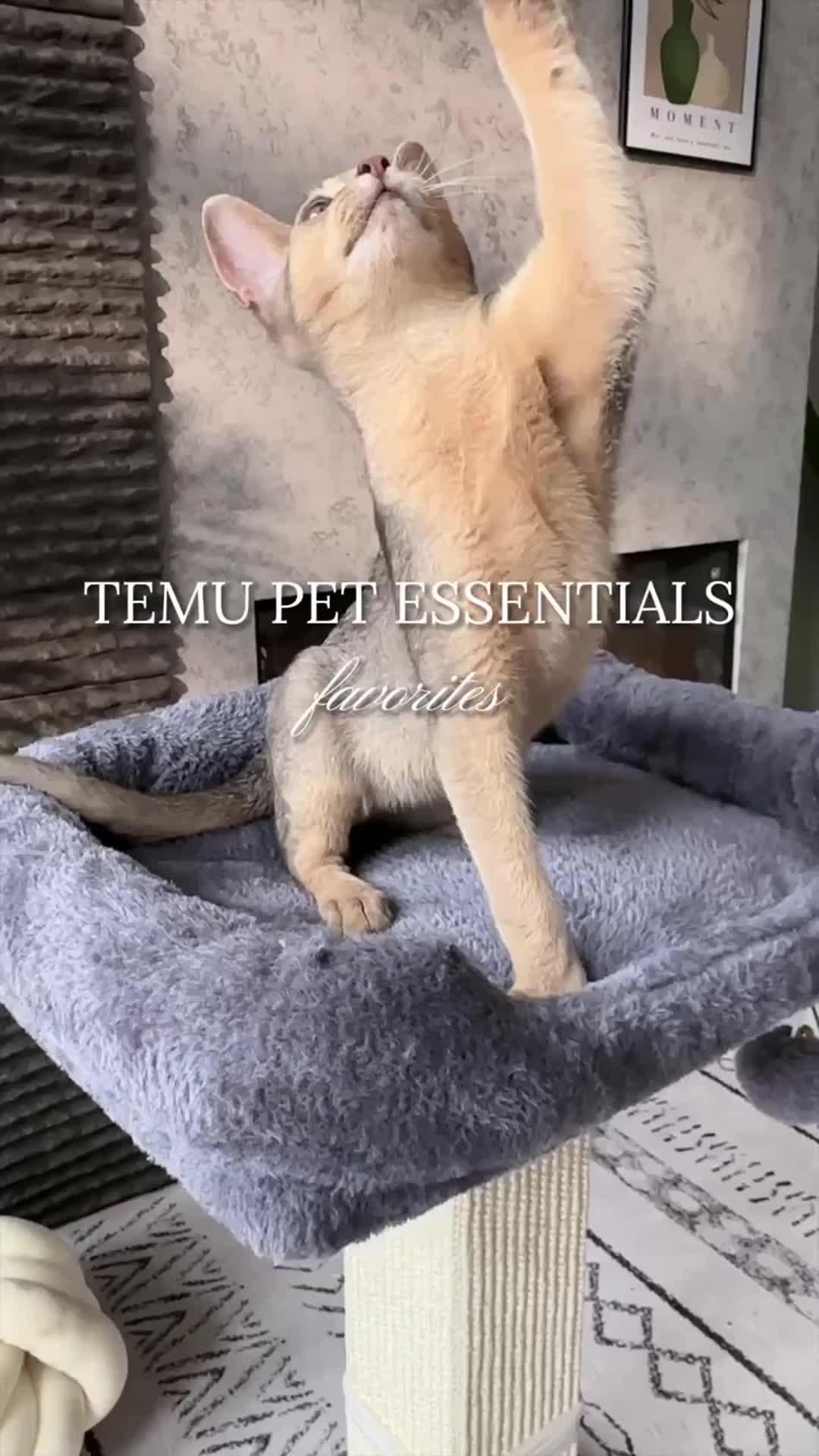 🌟 Pet lovers, behold!💖 Snag the pet essential where love meets innovation on Temu. 🐥🛍️ #BackyardBliss #TemuLove#TemuPets#TemuPetsFinds