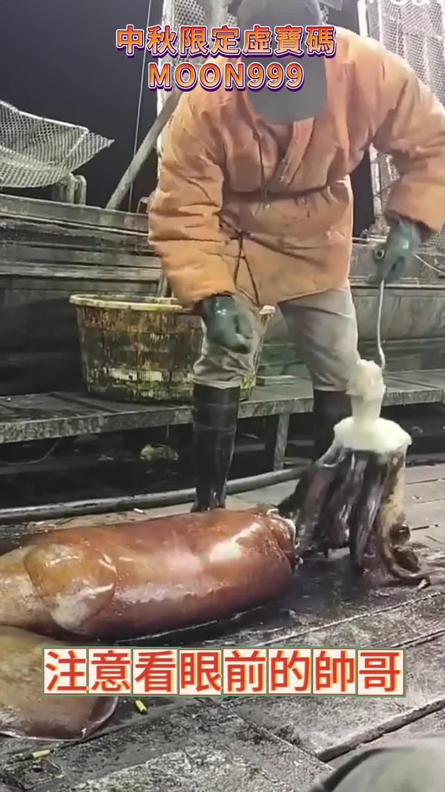 細膩逼真的3D畫面，帶你體驗釣魚的視覺盛宴！立即下載歡樂釣王傳奇！