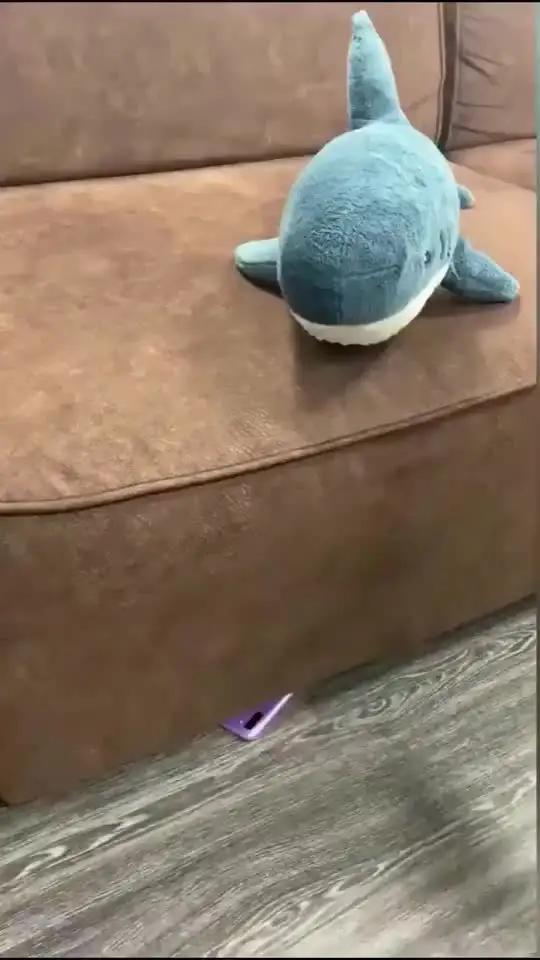 Download this application for free now!