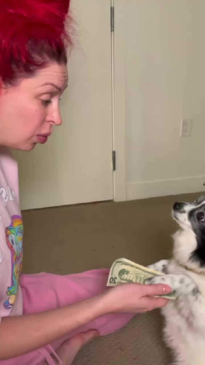 10+ million users all over the world like！