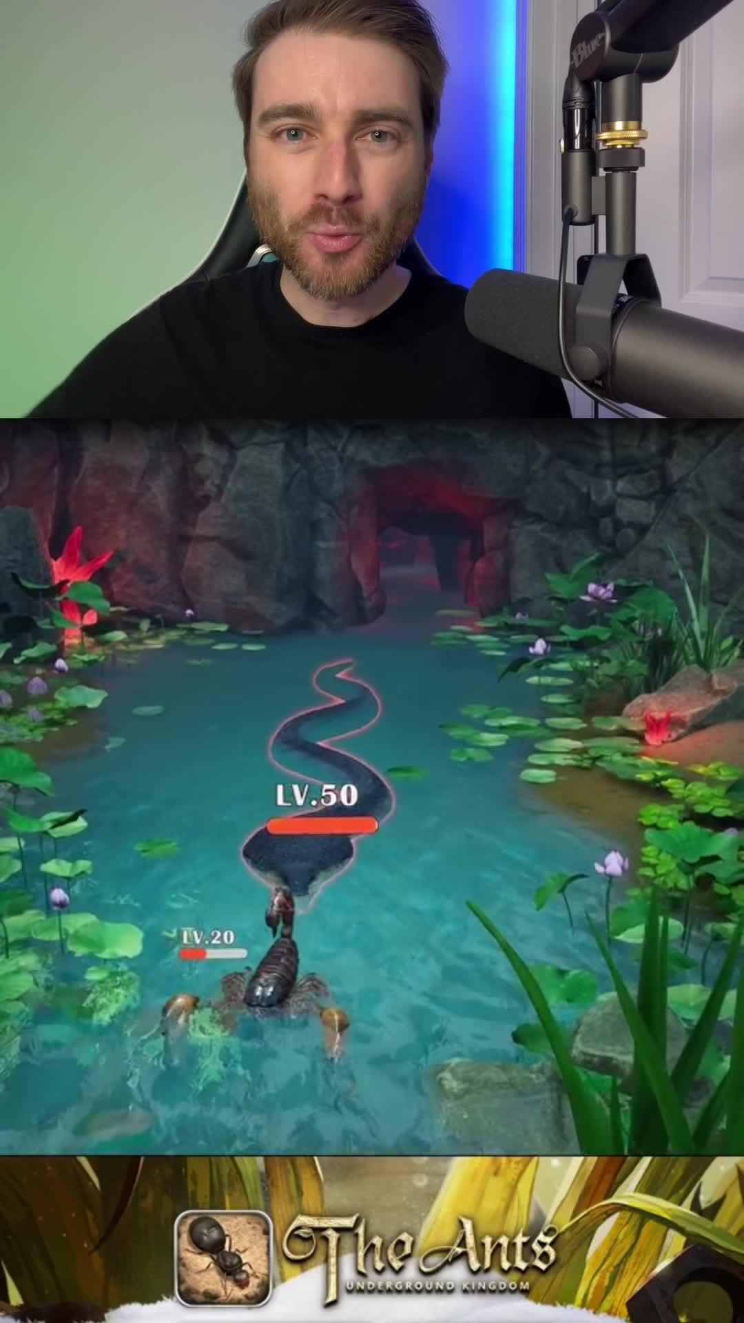 Ants are really cool creatures!!