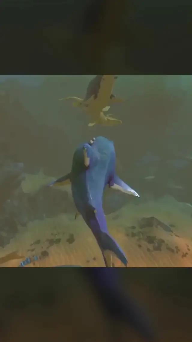 1つのチームだけが生き残ることができます、あなたは海の王になることができますか？