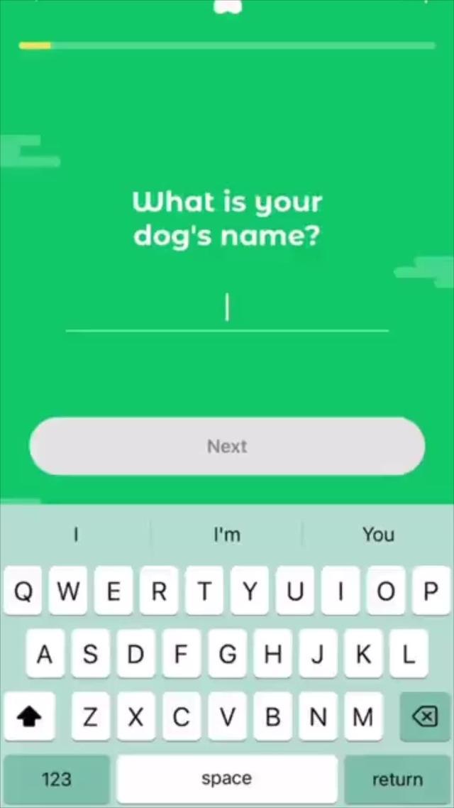 Start training your dog today!