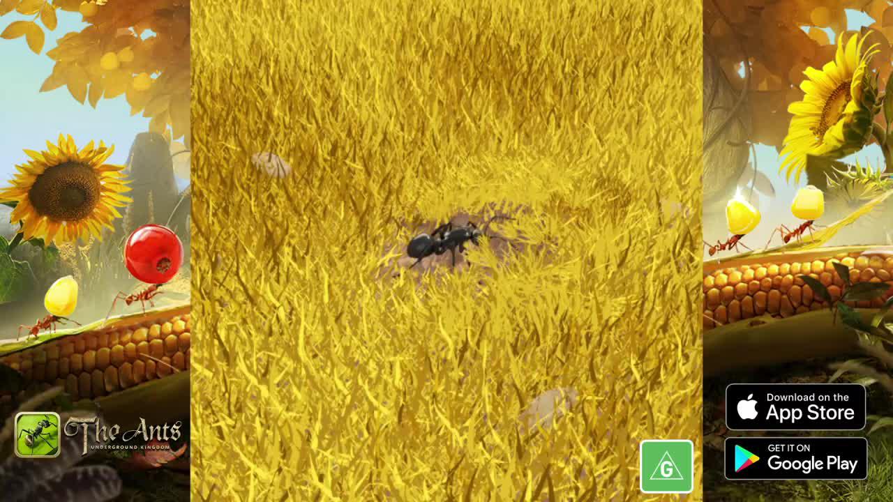 The Rise of the Ant Colony