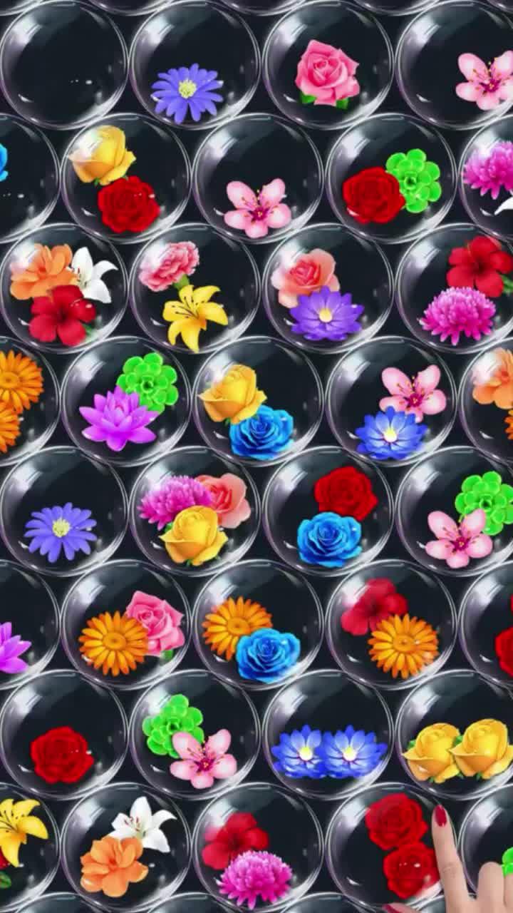 Come to play the Blossom Sort games!