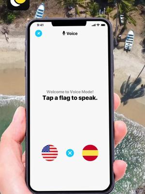 Guru translator help even in messenger!