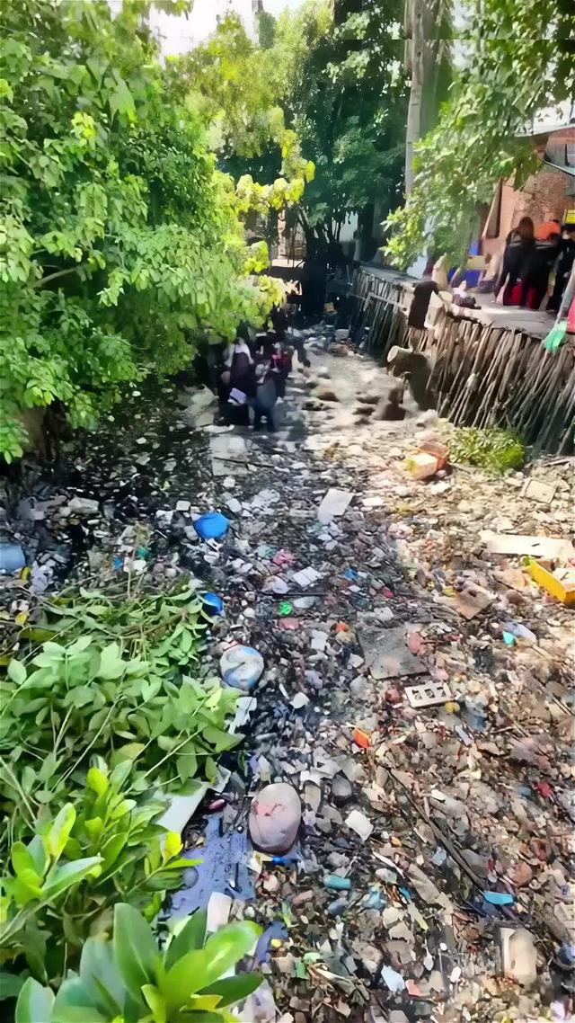 Ready for the quest?