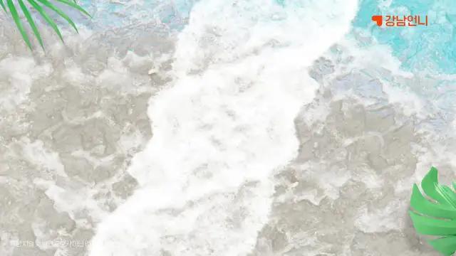 여름 준비는 강남언니에서!