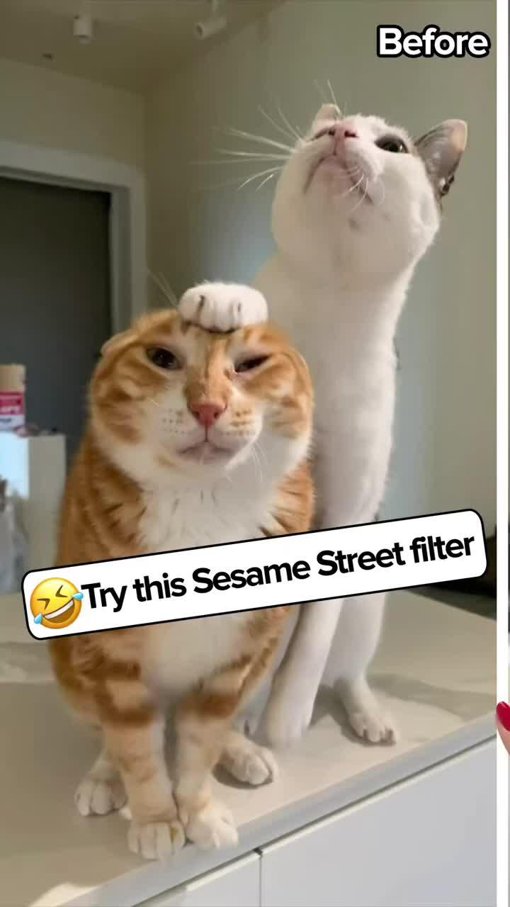 Want to know what your pet anime looks like? Try AI photo enhancer