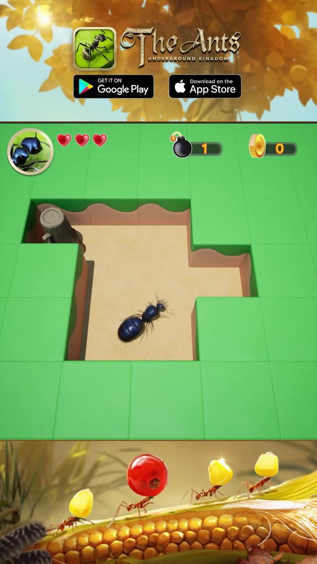 Spiele die Rolle der Ameisen