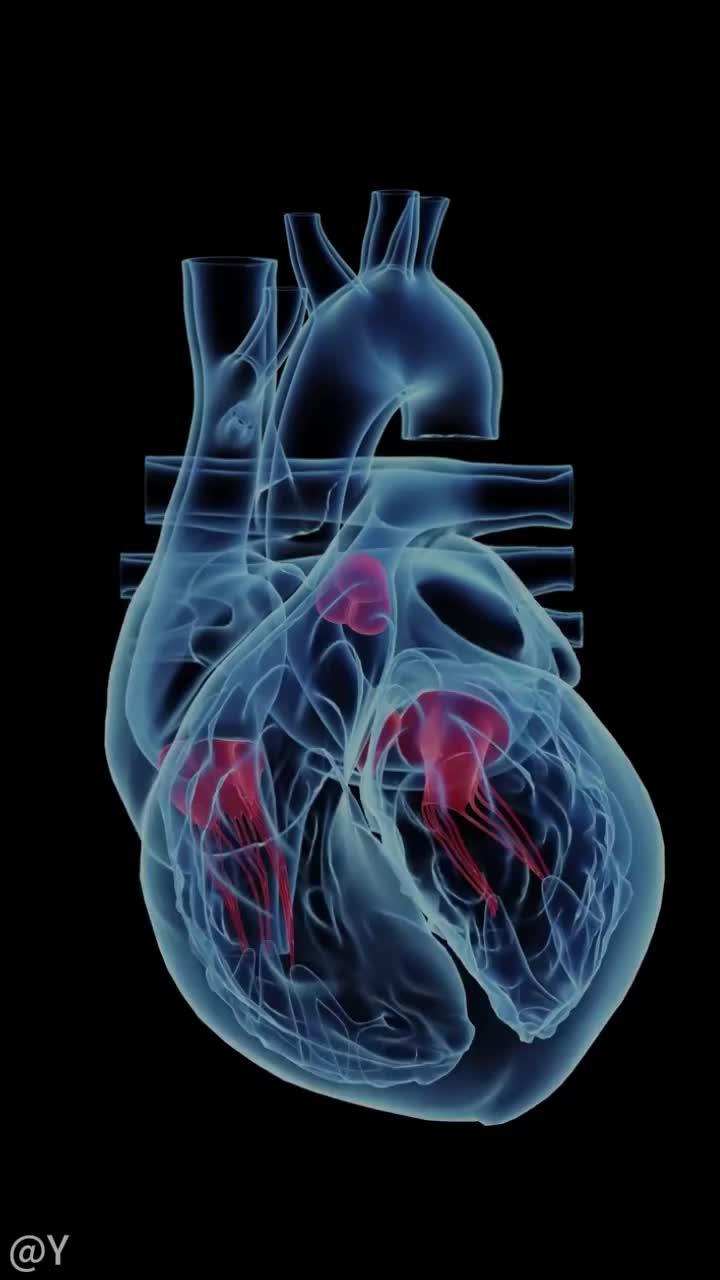 Blood pressure monitoring, always caring for your health.