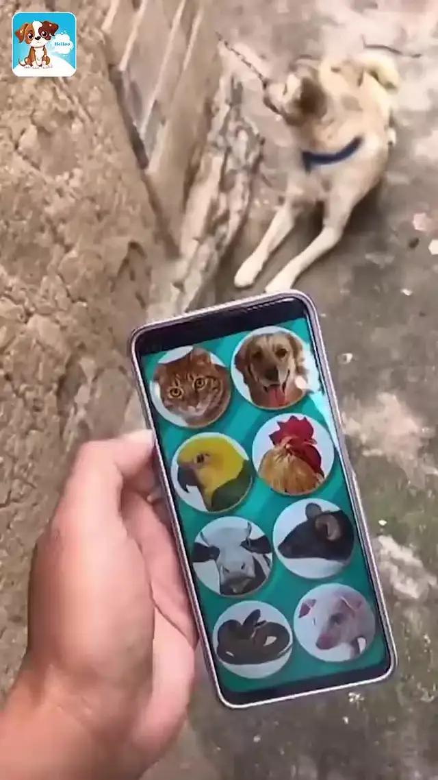 This application can make your phone run faster! Insatll it for free!