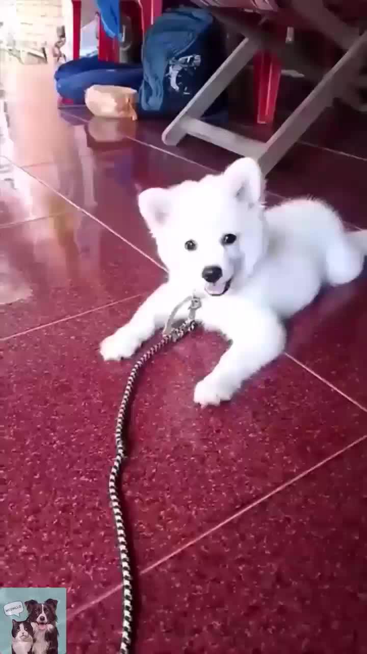 download immediately