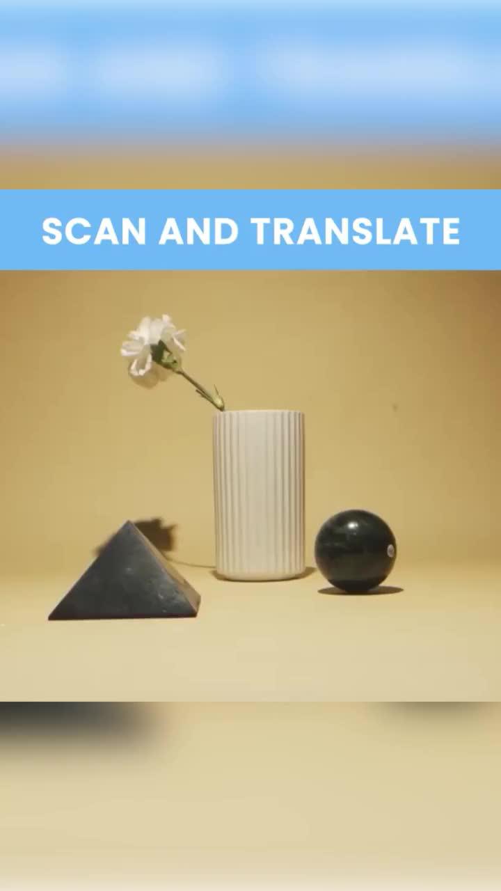 Translate Any Language With This App!