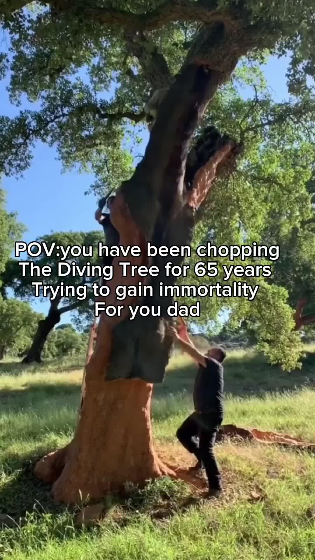 Download NOW for FREE!