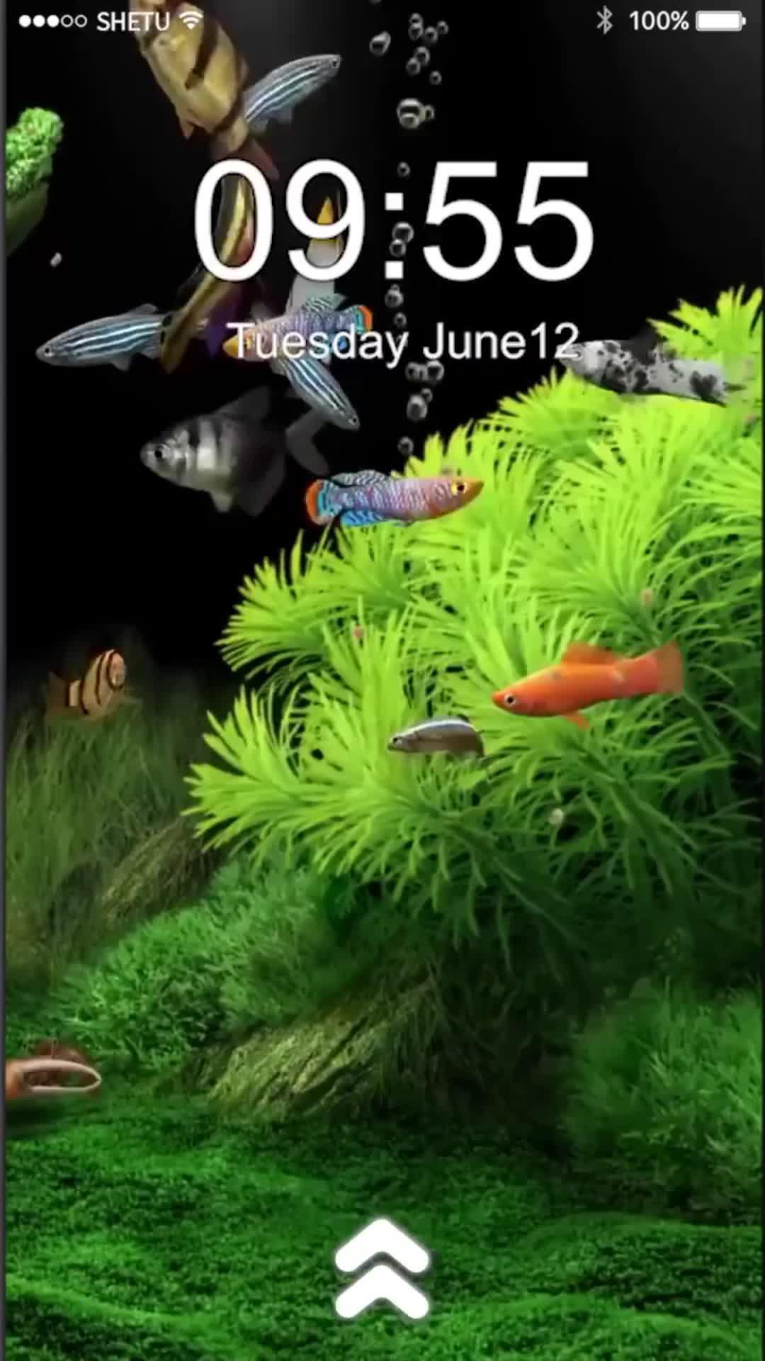 Make your call theme unique with color call theme, live wallpapers