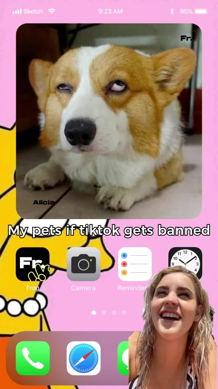 They don't look very happy ngl.#frogapp #fyp #homescreen #widget #apps #newapps #uk #Fr.app #sequel