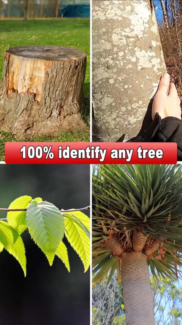 Looking for the tips to keep your houseplants alive?
Try Carl For Free! 19 Friends Use This App!