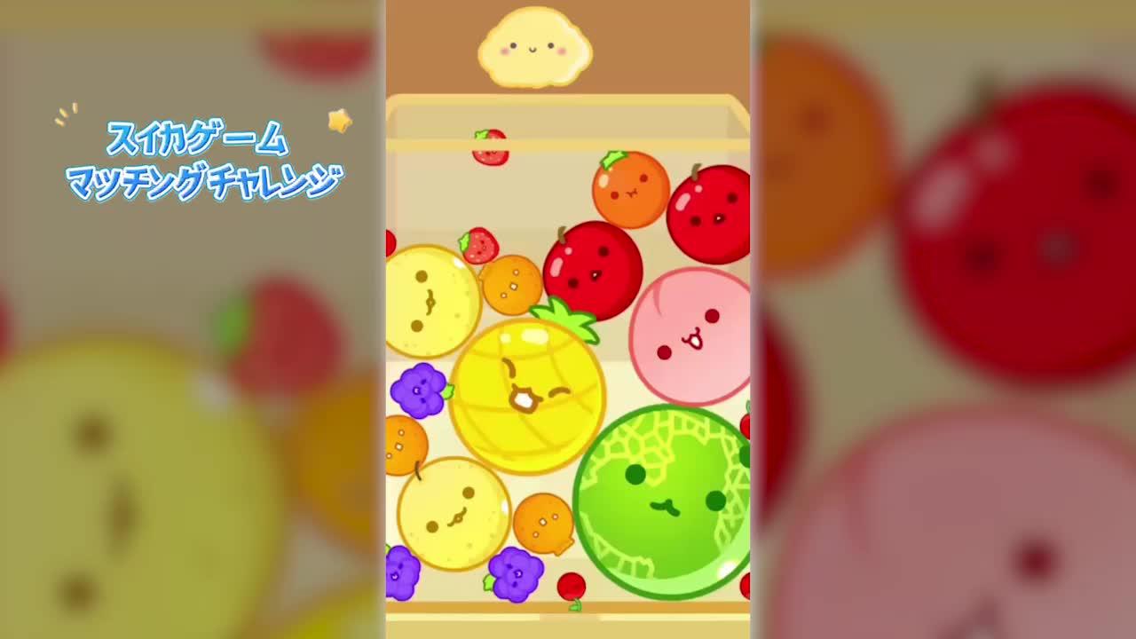 最終目標は合体して大きなスイカになることです!