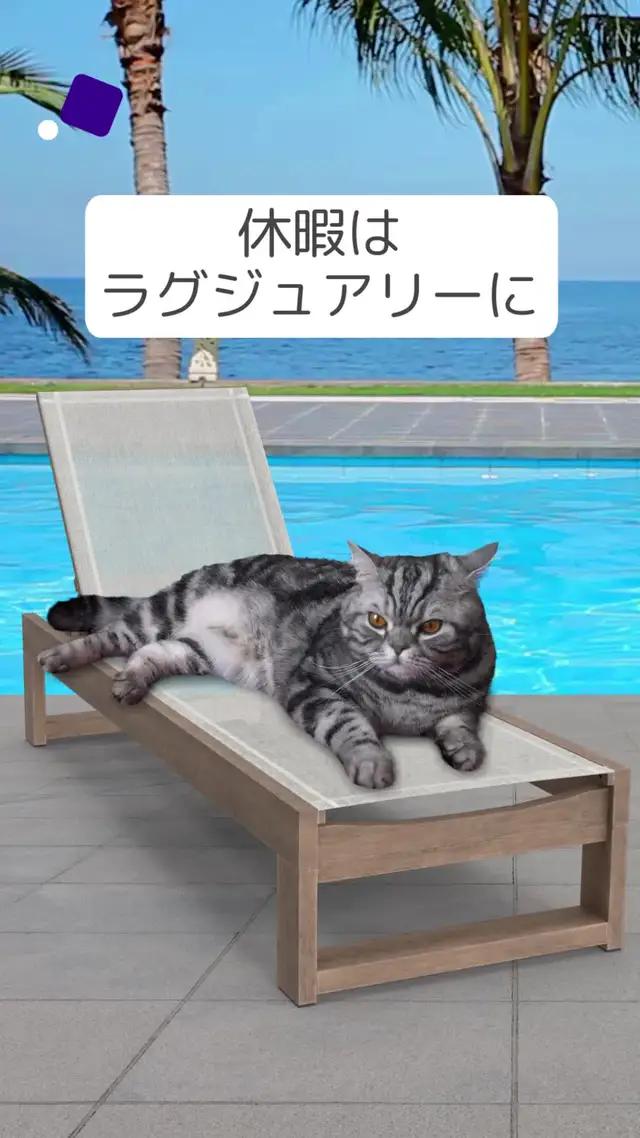 もっとおトクに世界を旅しよう