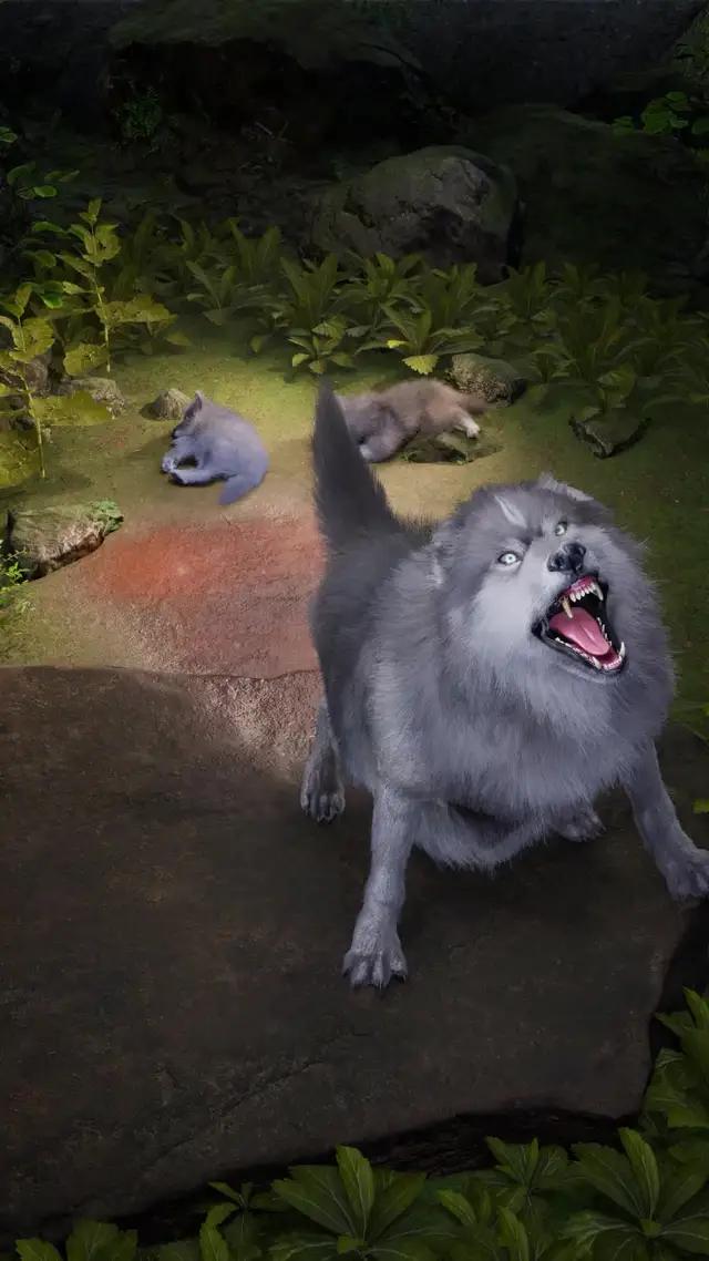 【Gift Code: NEWWOLF999】Download for New Gift！