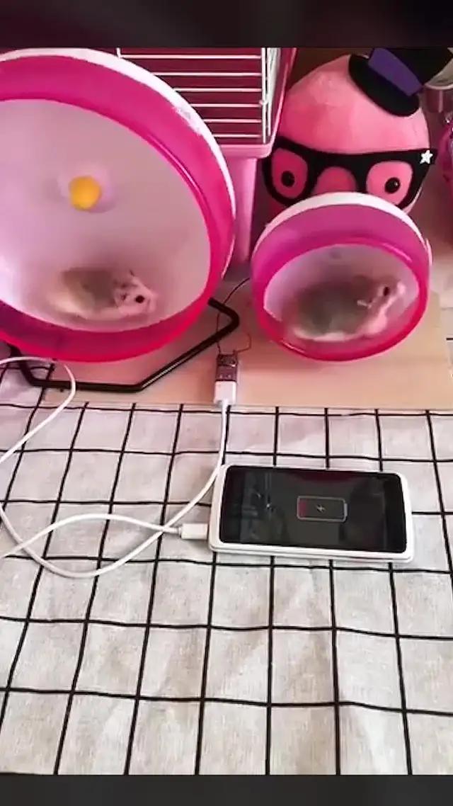 The Best Idle Game!