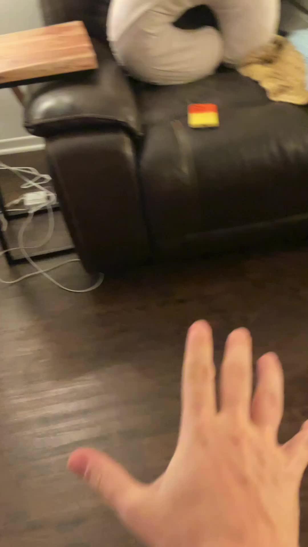 Download the Brass App today!