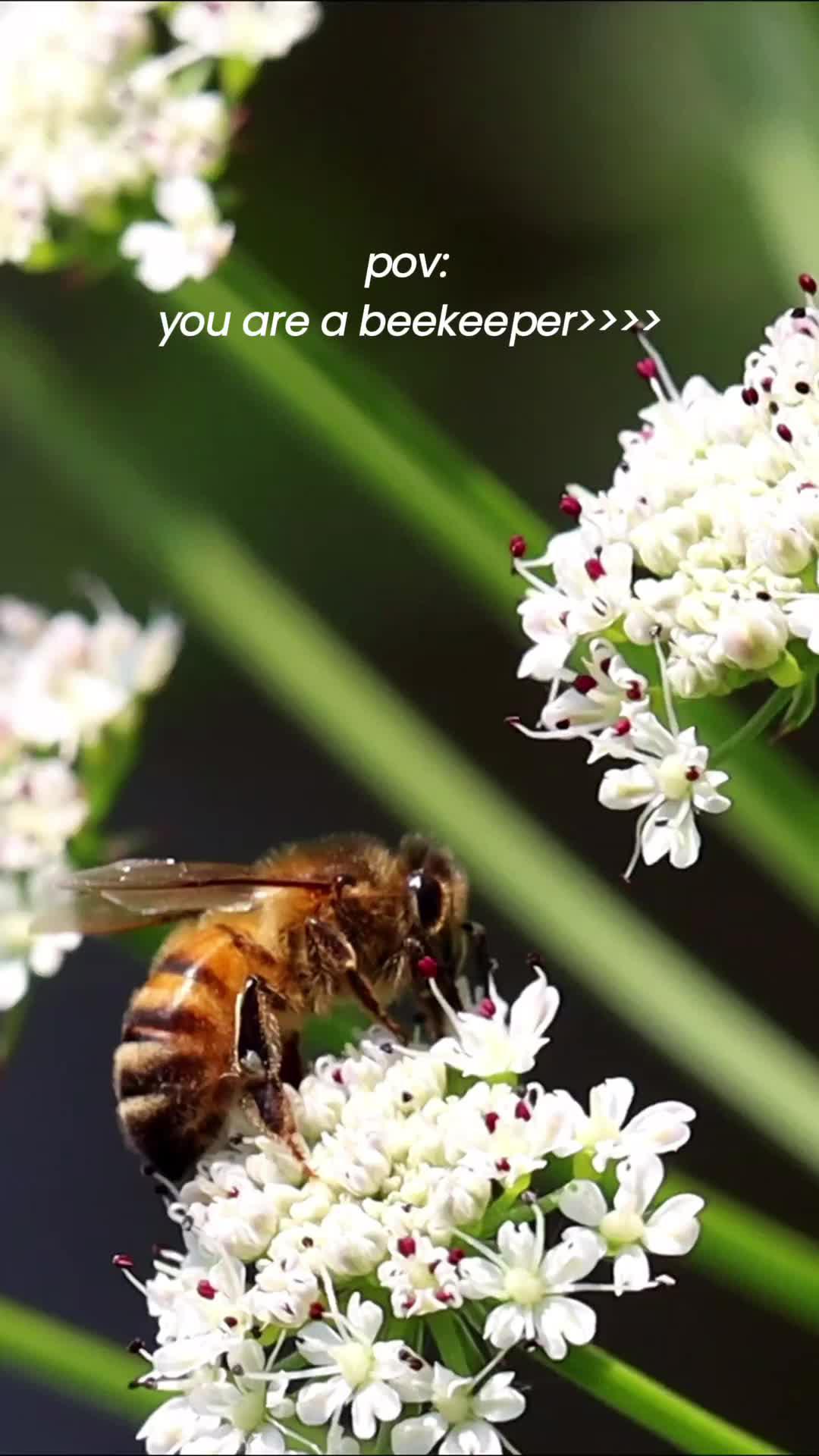 💥 Price Drop Alert 💥 Don't miss out on Temu's BIG SALE EVENT! 🔥 Click on the card to shop and explore more amazing deals!! 👀🎁✨ #temu #temufinds #shoptemu #temuhack #giftideas #deals #sale #gadgets