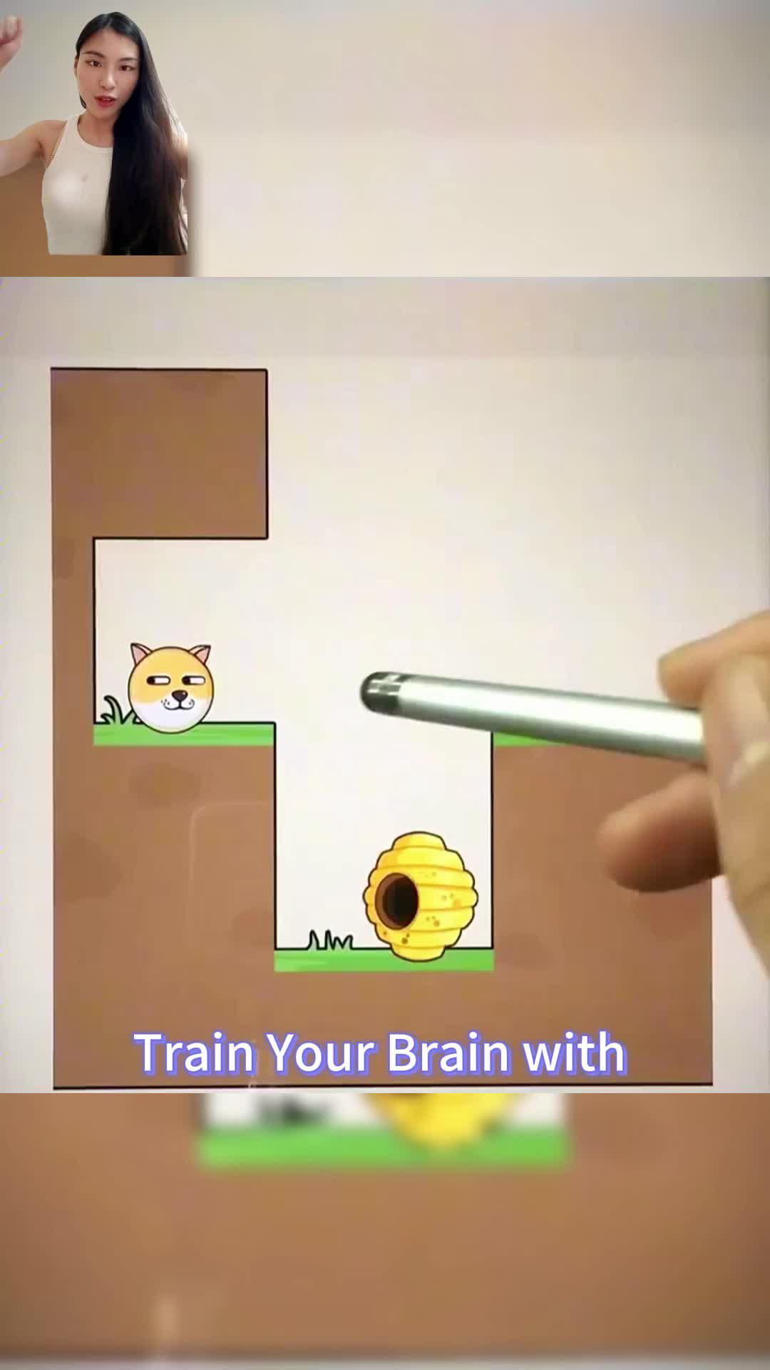 My dear!could you help those cute doge escape from the bees