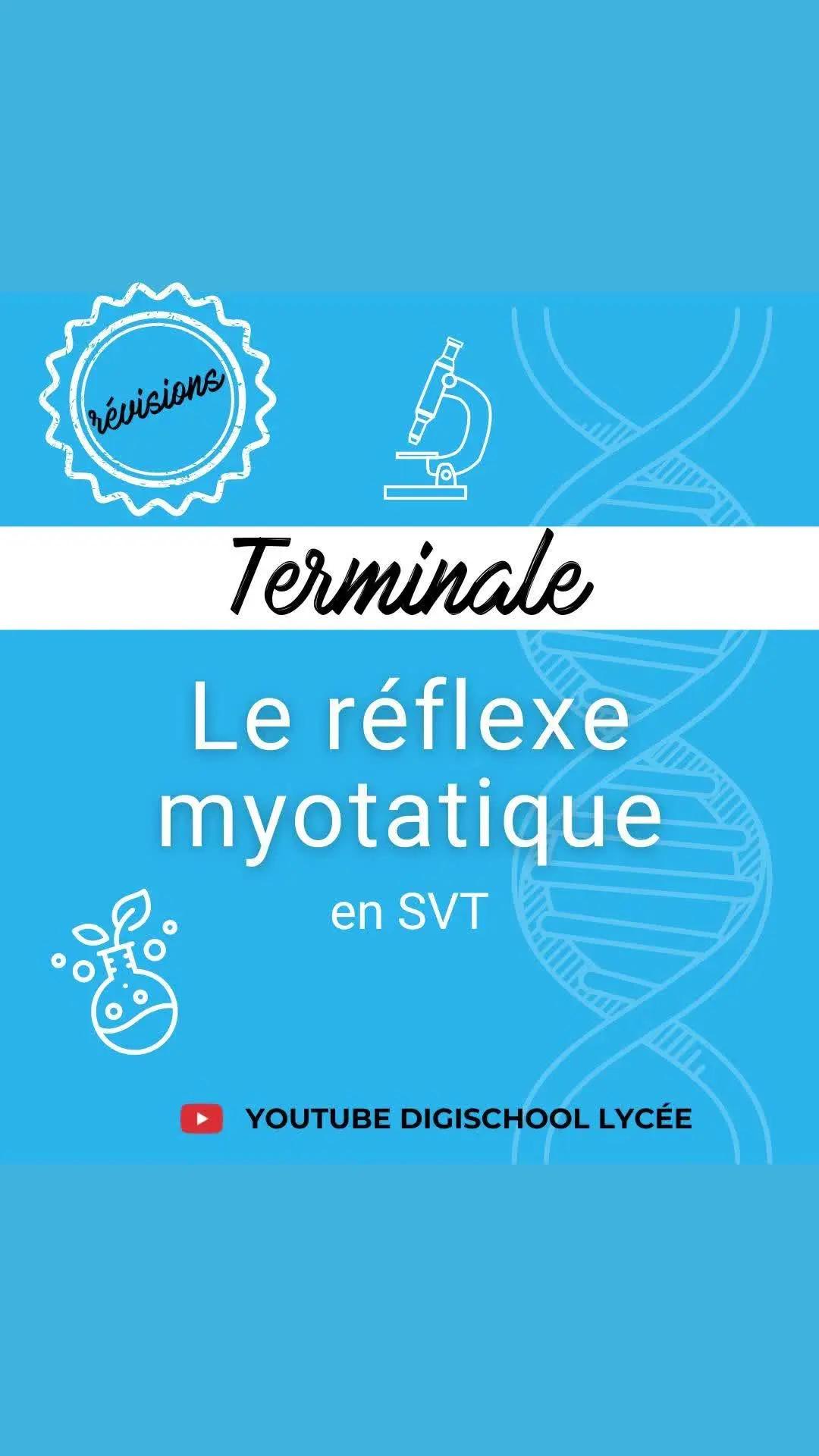 C’est quoi le réflexe myotatique ? Tu connais ? Révise le mouvement réflexe pour ton bac de spé. SVT avec notre vidéo sur le réflexe myotatique ! Retrouve le schéma à connaître, ainsi que les astuces et les conseils de notre prof pour le retenir. Après ça, le mouvement réflexe n’aura plus de secret pour toi ! 🎬 Envie d’en savoir plus sur le mouvement réflexe ? Retrouve la vidéo intégrale sur notre chaîne digiSchool Lycée ! #bac2024 #terminale #svt #bac #revisions #specialitesvt #spesvt #spe #specialite #apprendre #lycee #reviser #bacsvt2024 #methode #epreuve #exercice #schema #sciences