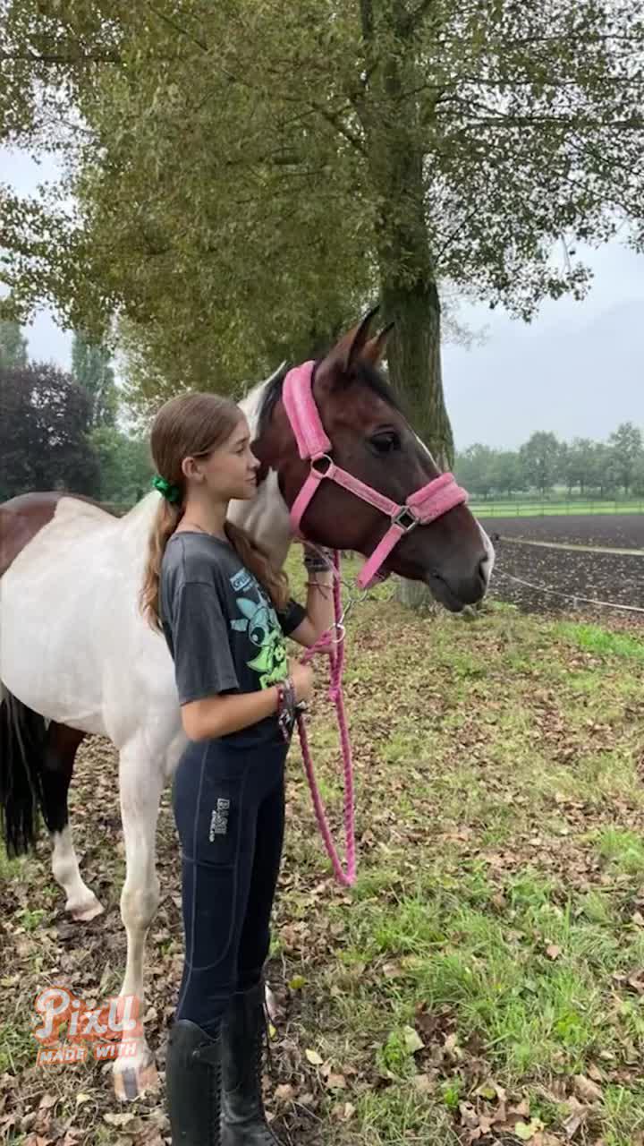 Try our latest Halloween templates and rock them all!!