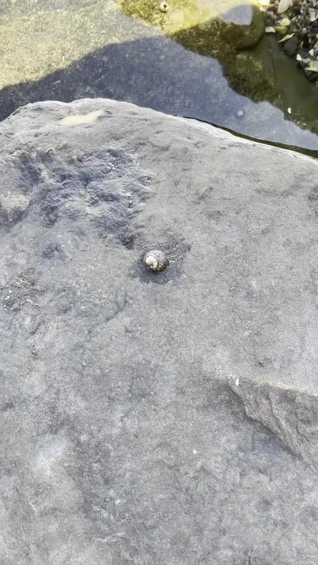 マジでお金ない時はコレ一択！