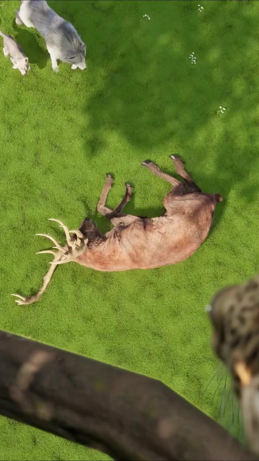 Help! Use strategy to save the wolf pup