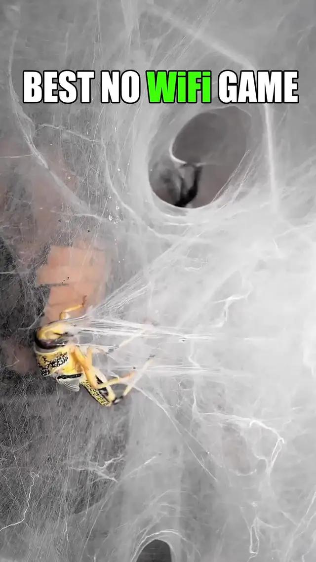 Can you handle the spiders