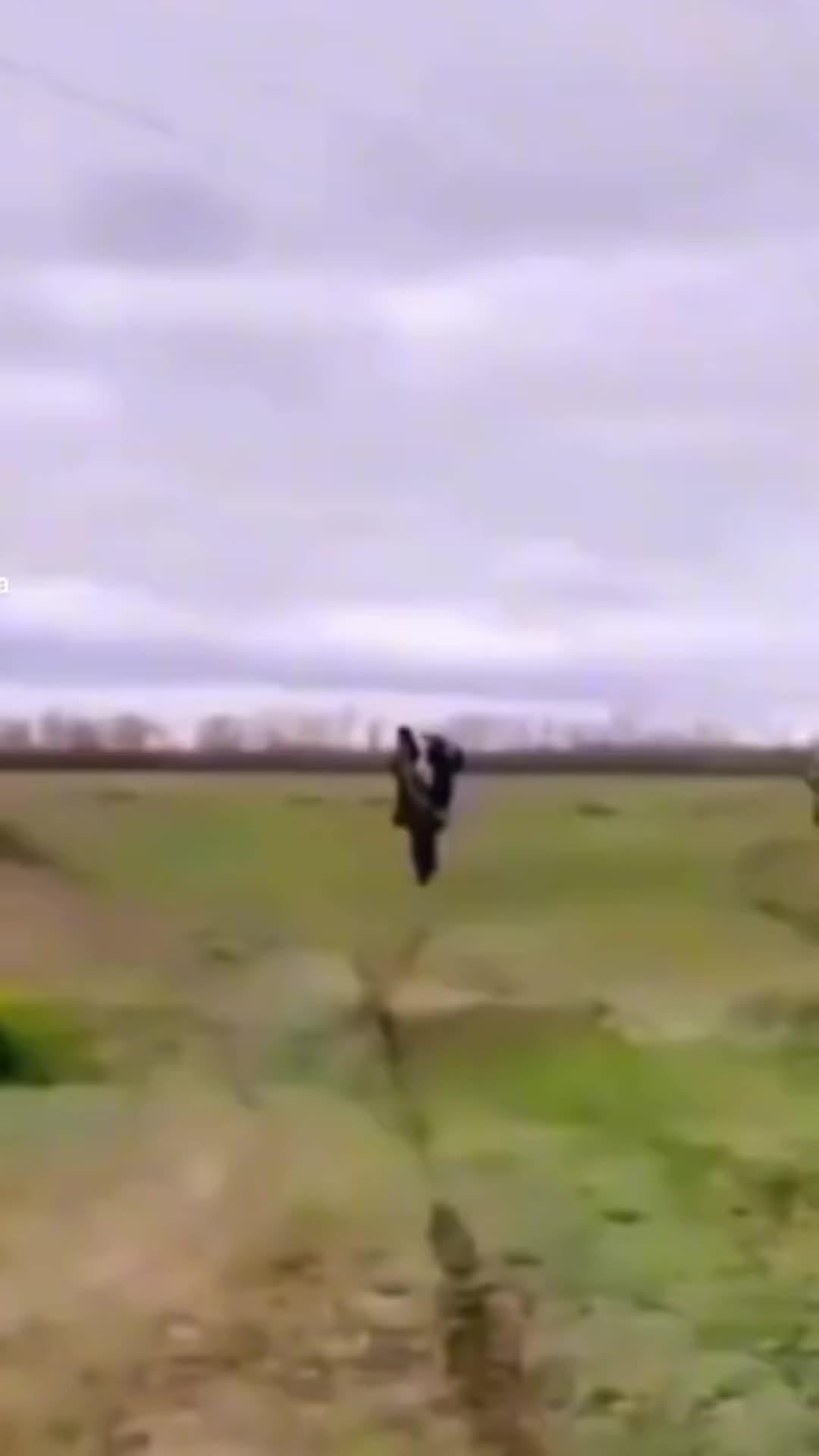 Explore the fantastic open world of Dopiverse, play mini games and make new friends