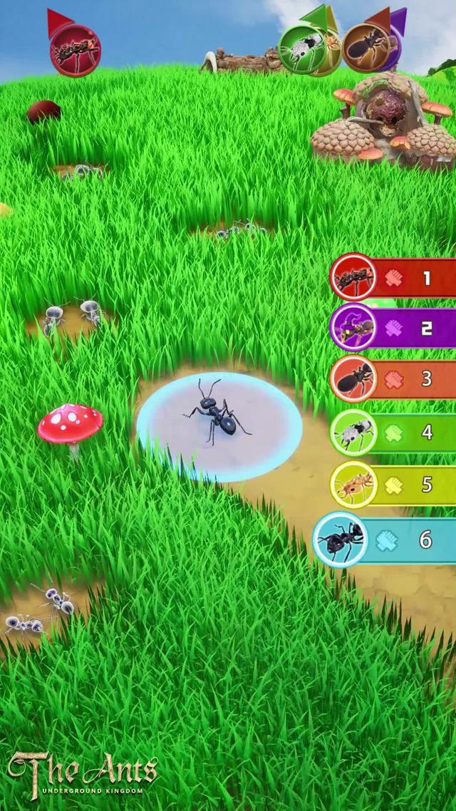 Plus de 100 espèces de fourmis