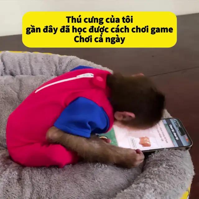 Chỉ chỉ ngón tay, sửa thành tăng tăng tăng Treo máy rơi Thần Trang, các anh em làm ván chứ?
