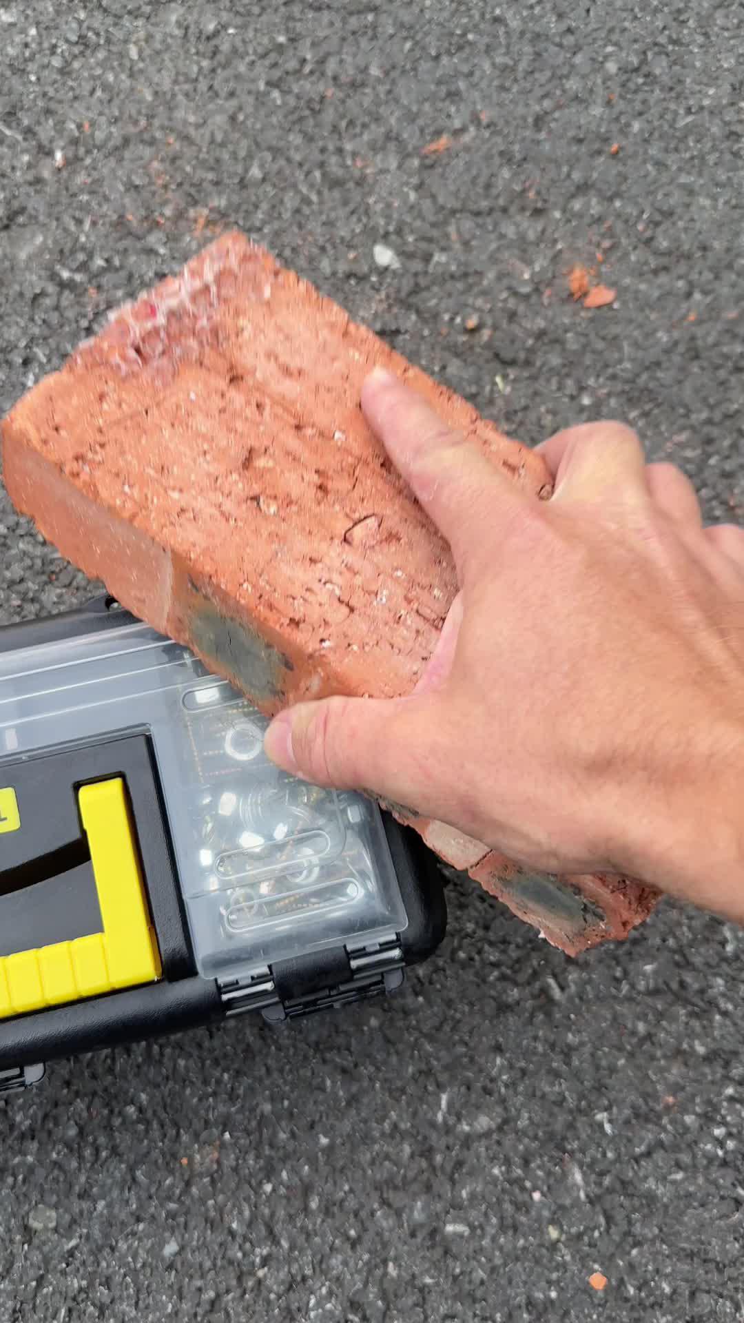 🆓FREE GIFT!!!! $0 Temu Haul!!!❤️⚡🎁 You can get this item for free now!!! Click the card to get your gift today! Free shipping & Free returns 🚛⚡ *Only for new app users with qualifying orders #Temu #zerotemuhaul #shopwithme #tryonhaul #freetemuhaul