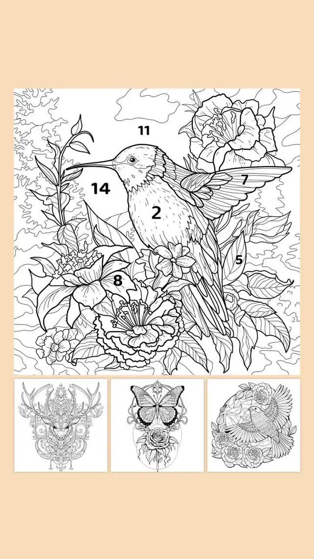 Coloring and relaxing, 100% stress-free!